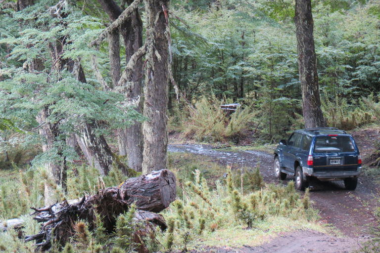Off-Road and hicking Adventure in San Martin de los Andes Pick Up, Hicking and Snack