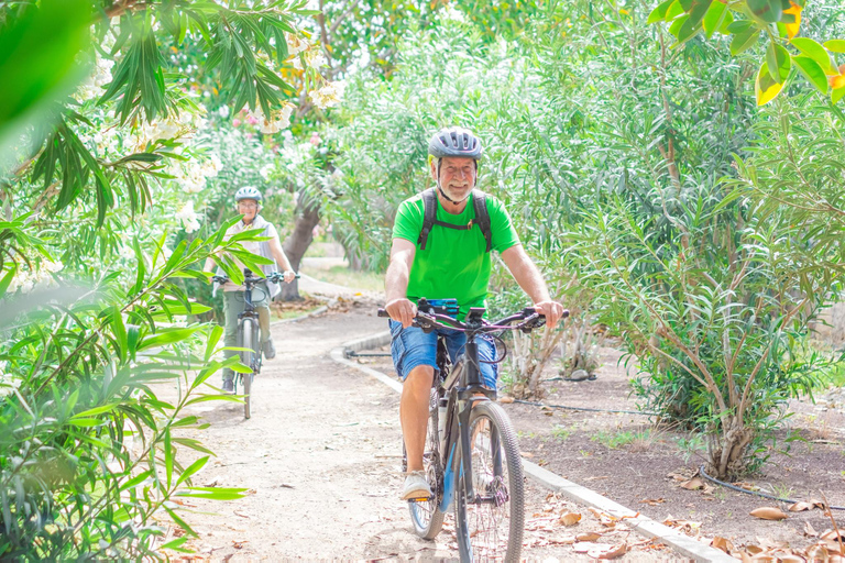 جولة شيانغ ماي بالدراجة: في ريف لانا مع مرشدرحلة ركوب الدراجات المشتركة لاستكشاف ريف لانا