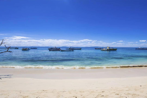 Punta Cana: Samaná ATV Tour with Lunch & Beach Swim