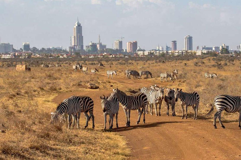 Nairobi National Park and Sheldrick Elephant Orphanage Tour