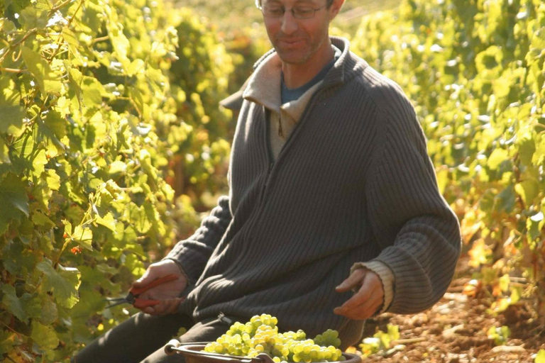 Paris: Prestige Sancerre Wine Tour with 10 Tastings & Lunch