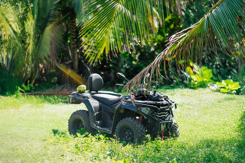 Small Group 4x4 ATV Punta Cana: Jungle & Wild Beaches ATV Placement: Double occupancy