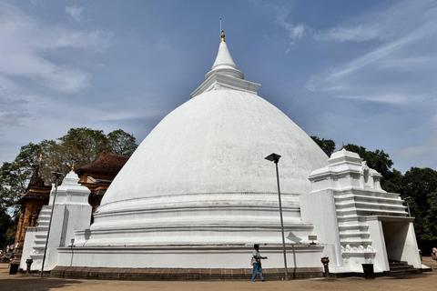 From Negombo: Kelaniya Rajamaha Vihara Guided Temple Tour