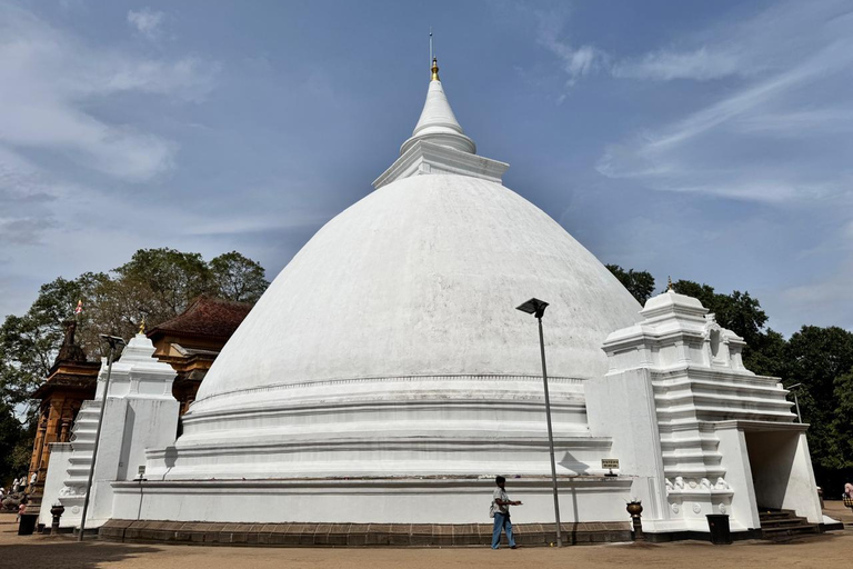From Negombo: Kelaniya Rajamaha Vihara Guided Temple Tour