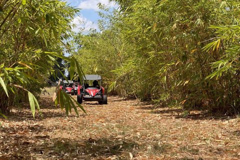 Bamboo Dune Buggy Tour