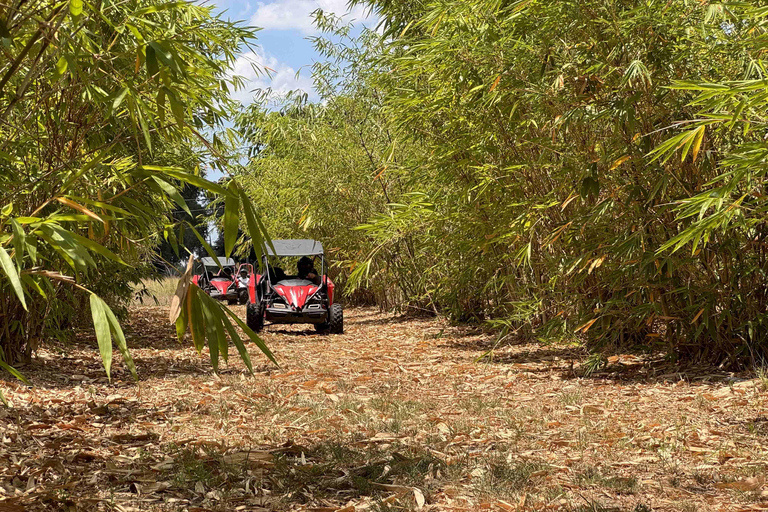 Bamboo Dune Buggy Tour