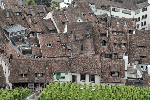 Zurich: Europe's Largest Falls and Medieval Village by Train