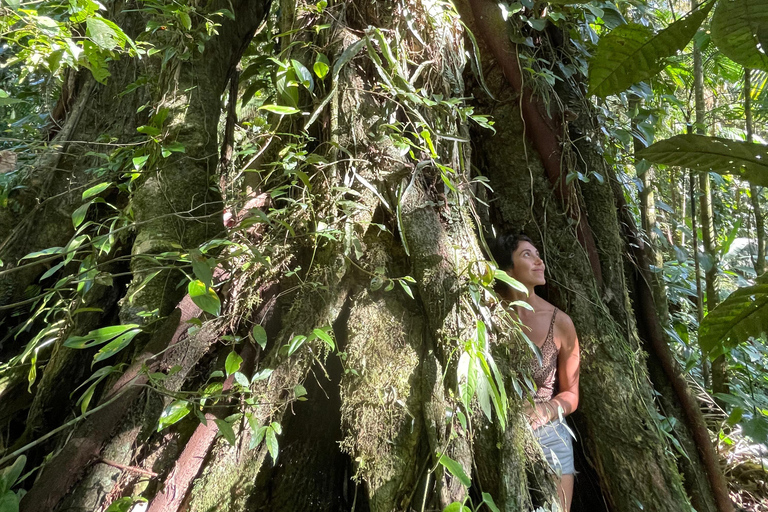Sensory Botanical Experience in Paraty