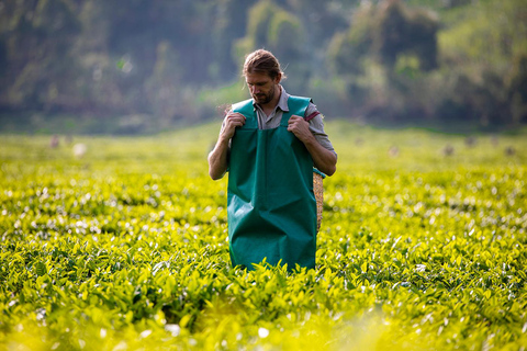 2-dniowa wycieczka kawowa nad jezioro Kivu2 dni od ziarna do filiżanki – kawa z jeziora Kivu