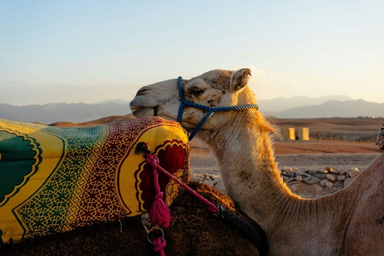 Magical dinner in agafay desert with camel ride Agafay desert dinner tour & quad ride or camel