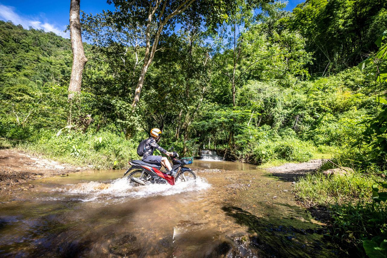 Scooter Adventure incl Elephants, Cave Chiangmai Backcountry scooter adventure incl. elephants