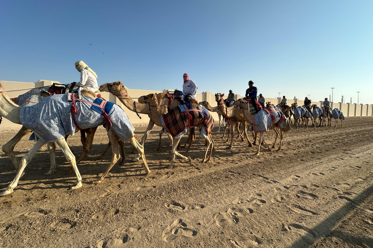 Doha: Explore the North and West of Qatar With Transfers