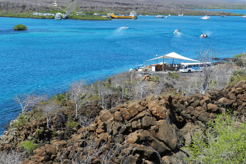 Galapagos Islands - Santa Cruz - 4 days all inclusive ENGLISH GUIDE Santa Cruz - 4 days all inclusive GALAPAGOS ISLANDS