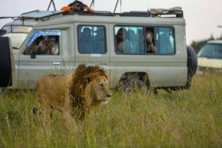 Maasai Mara 3-Day Migration Window Journey
