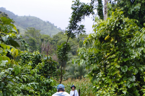 أكرا: جولة إرشادية لمدة 7 أيام للتعرف على التاريخ والتراث في غانا
