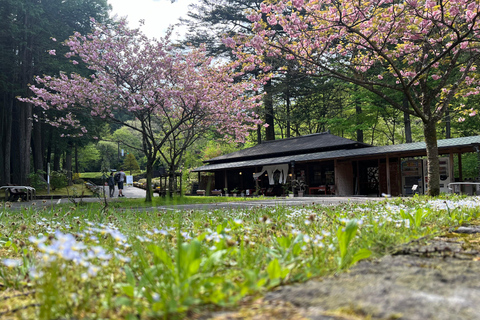 Tokio naar Nikko werelderfgoed dagtour met Engelse gids