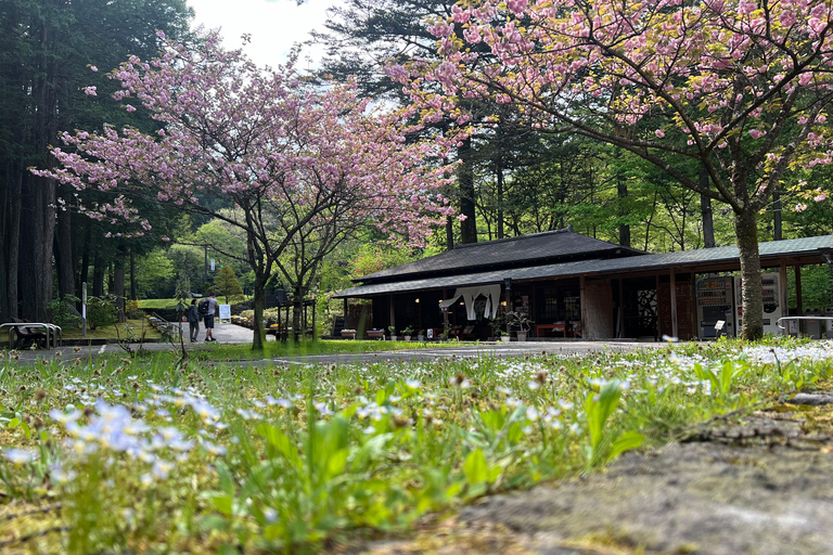 Tokio nach Nikko Welterbe Tagestour mit englischem Guide