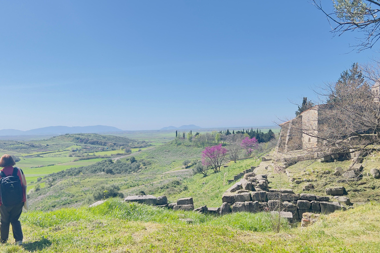 From Berat: Apollonia Guided Tour with Museum Entry