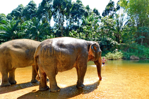 Khao Sok - Culture & Nature, Day Trip Khao Sok - Culture & Nature, Day Trip