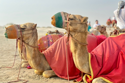 Private Desert safari with Free Camelride & Falcon PhotoSnap