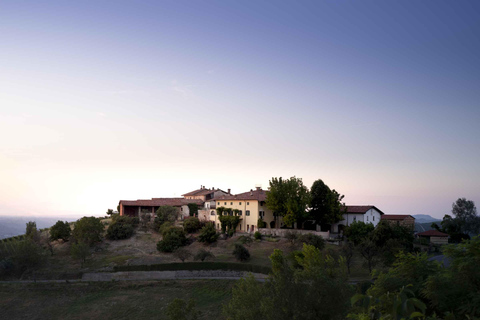 Langhe: Visit to the Vineyard and Historic Cellars with Tasting Langhe: Visit to the Vineyard and Historic Cellars with Wine Tasting