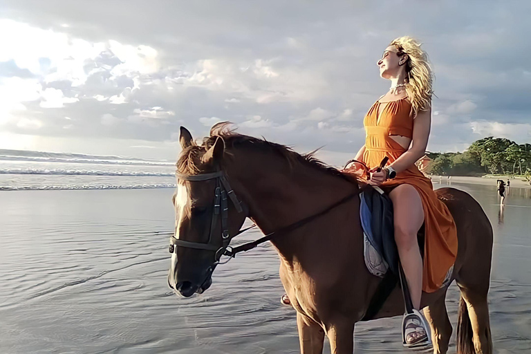 Bali: Paardrij tour op Seminyak strand inclusief vervoerBali: Paardrijden 1 uur Inclusief vervoer