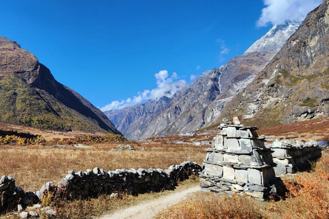 Journey Through Langtang: A 6-Day Trek with Meals