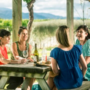 Blenheim/Renwick: Marlborough Half-Day Wine Tour with Lunch Blenheim/Renwick: Marlborough Half-Day Wine Tour with Lunch