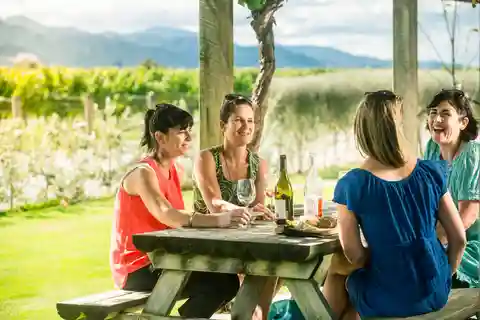 Blenheim/Renwick: Marlborough Half-Day Wine Tour with Lunch
