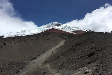 Z Quito: Wycieczka do wulkanu Cotopaxi i laguny Limpiopungo