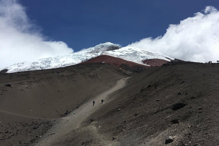 Desde Quito: Excursión al Volcán Cotopaxi y a la Laguna de Limpiopungo