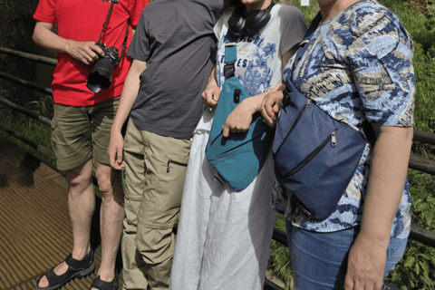 Colombo Airport → Sigiriya, Kandy, or Ella Private Car Tour Private Car with Driver – Up to 100 km
