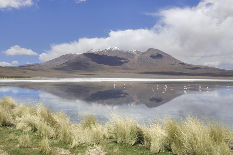 Desde La Paz | Tour Bus Uyuni + Sam Pedro a Atacama | 4D/4N