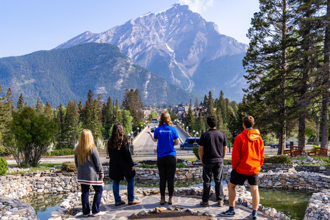 Banff: Wildlife and Sightseeing Minibus Tour Winter Tour