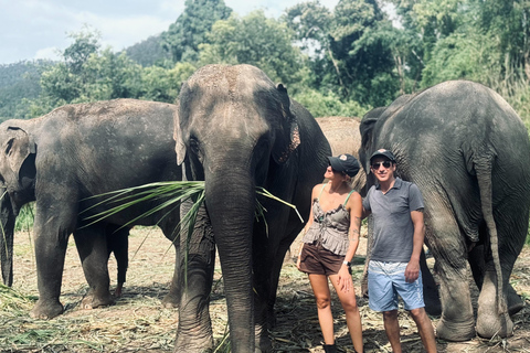 Chiang Mai: Elephant Sanctuary & Thai Cooking Workshop Meeting Point In Town