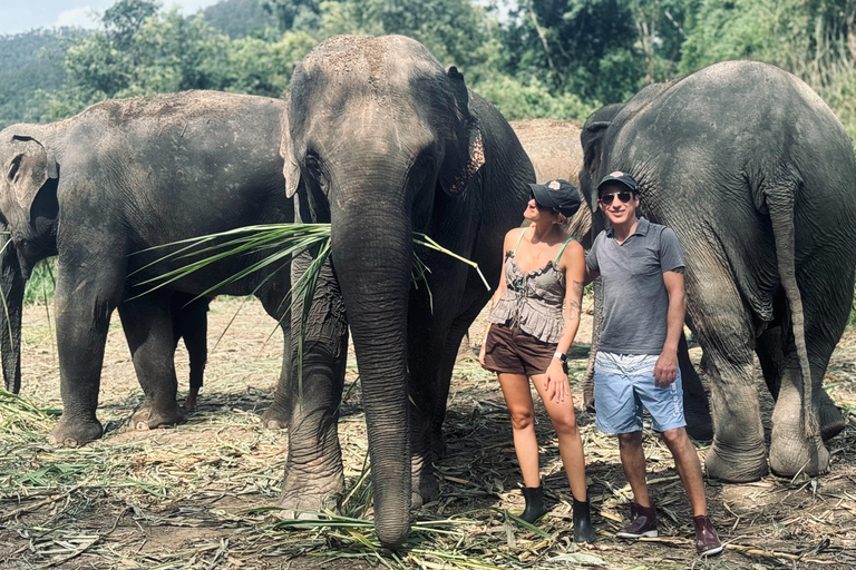 Chiang Mai: Elephant Sanctuary & Thai Cooking Workshop Meeting Point In Town