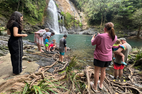 Daintree waters tour, all terrain vehicles and light lunch.