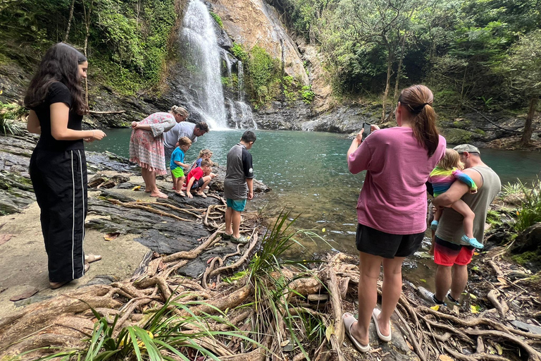 Daintree waters tour, all terrain vehicles and light lunch.