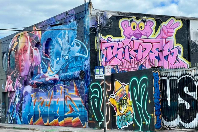 Miami: Street Art Immersion in Wynwood in French (10 people max)
