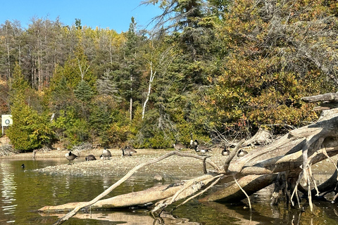 Food tour on Island Lake, Ontario from Toronto