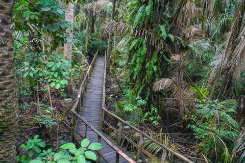 لاغوس: مركز ليكي للمحافظة على البيئة (LCC) جولة إرشادية
