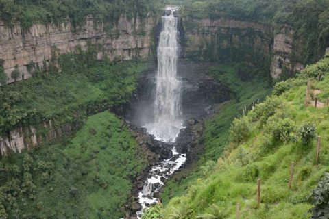 Bogotá: Coffee Farm Excursion