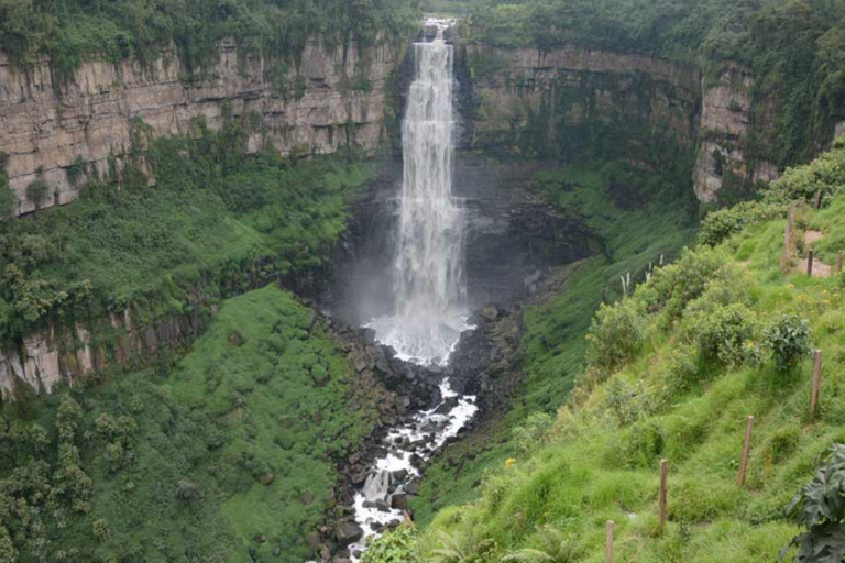 Bogotá: Coffee Farm Excursion