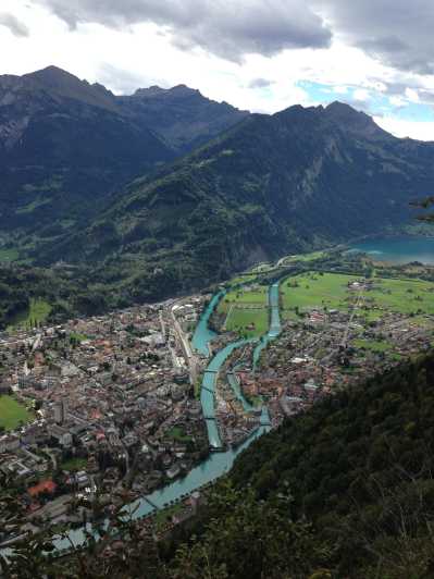 Basel: Jungfraujoch and Interlaken Region Private Day Trip