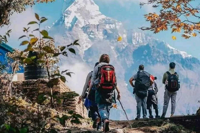 Nepal: Small Group 4-day Mardi Himal Trekking Pokhara: 4-days Mardi Himal Guided Trek