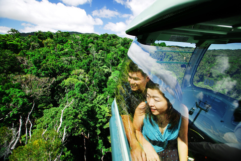Cairns: Self-Guided Kuranda Train and Bus & Skyrail Loop