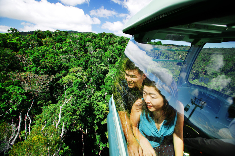 Cairns: Self-Guided Kuranda Train and Bus & Skyrail Loop