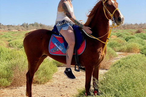 Hurghada: Abenteuerausflug mit Pferden durch die Wüste und zum StrandPrivater Ausritt in Hurghada: Wüste &amp; Strand