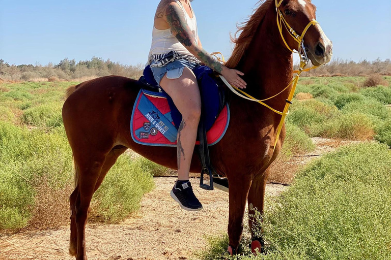 Hurghada: Abenteuerausflug mit Pferden durch die Wüste und zum StrandPrivater Ausritt in Hurghada: Wüste &amp; Strand