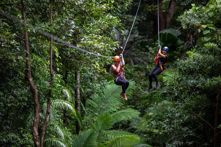 Cairns/Port Douglas: Overnight Rainforest to Reef Experience Daintree Overnight Rainforest & Reef - Private Double/Twin